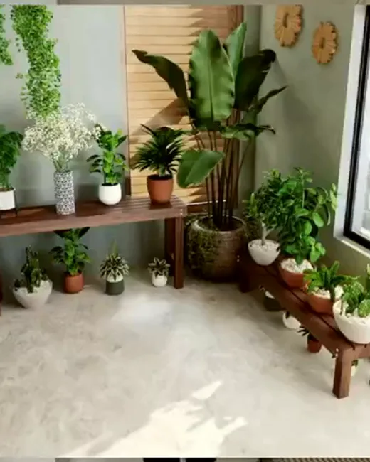 Balcony plant corner