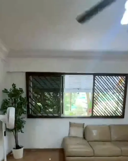 Living room window with garden view